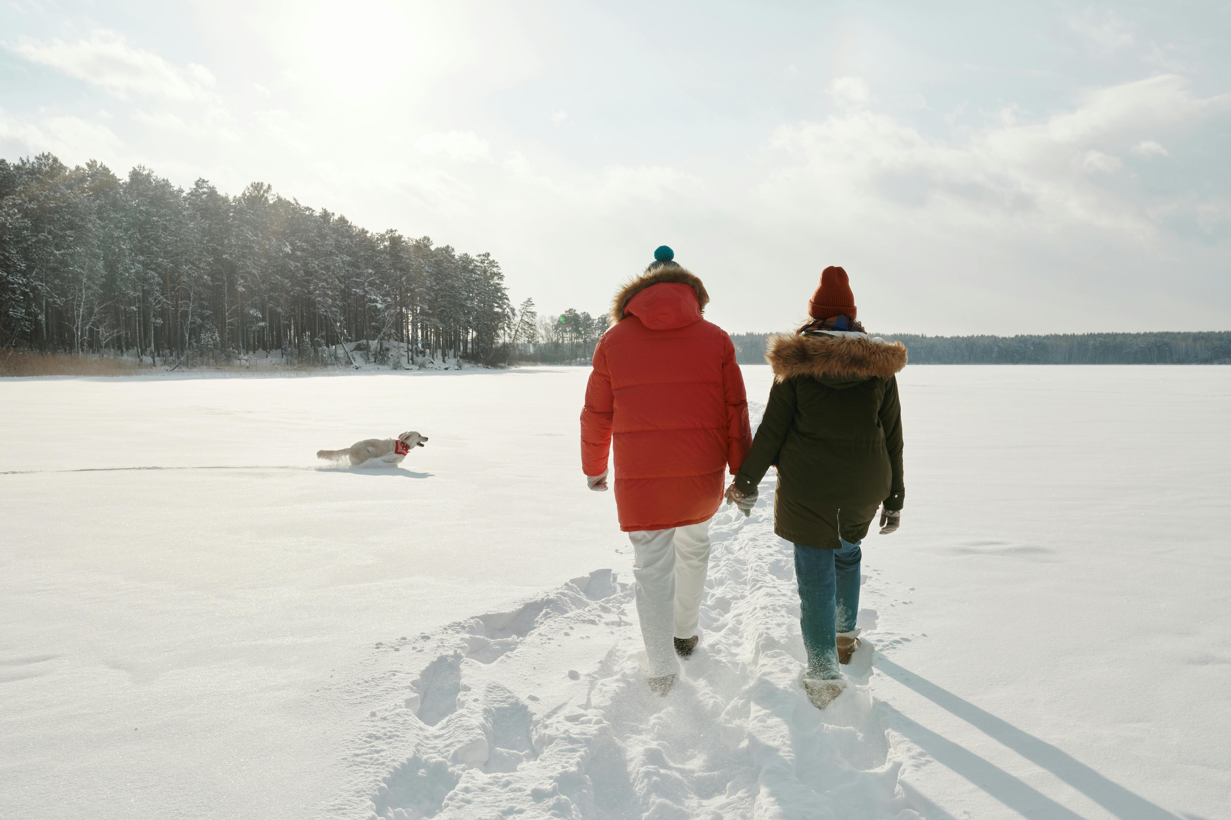 Guide to Puffer Jacket: Types, Styling, and Maintenance Tips for Your Puffer Coats and Jackets - PUFFIT