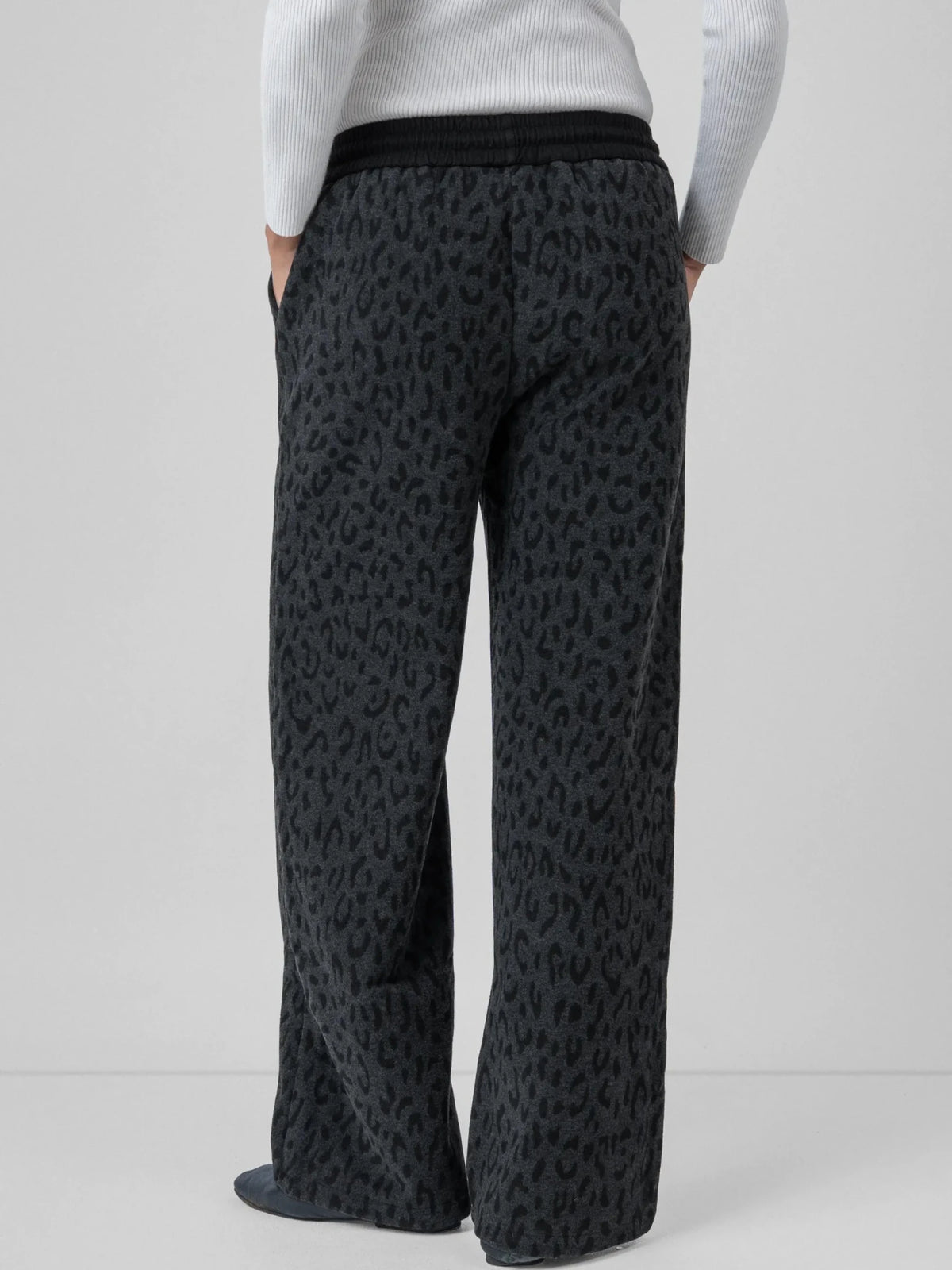 WP03-2025-Grey Leopard-S